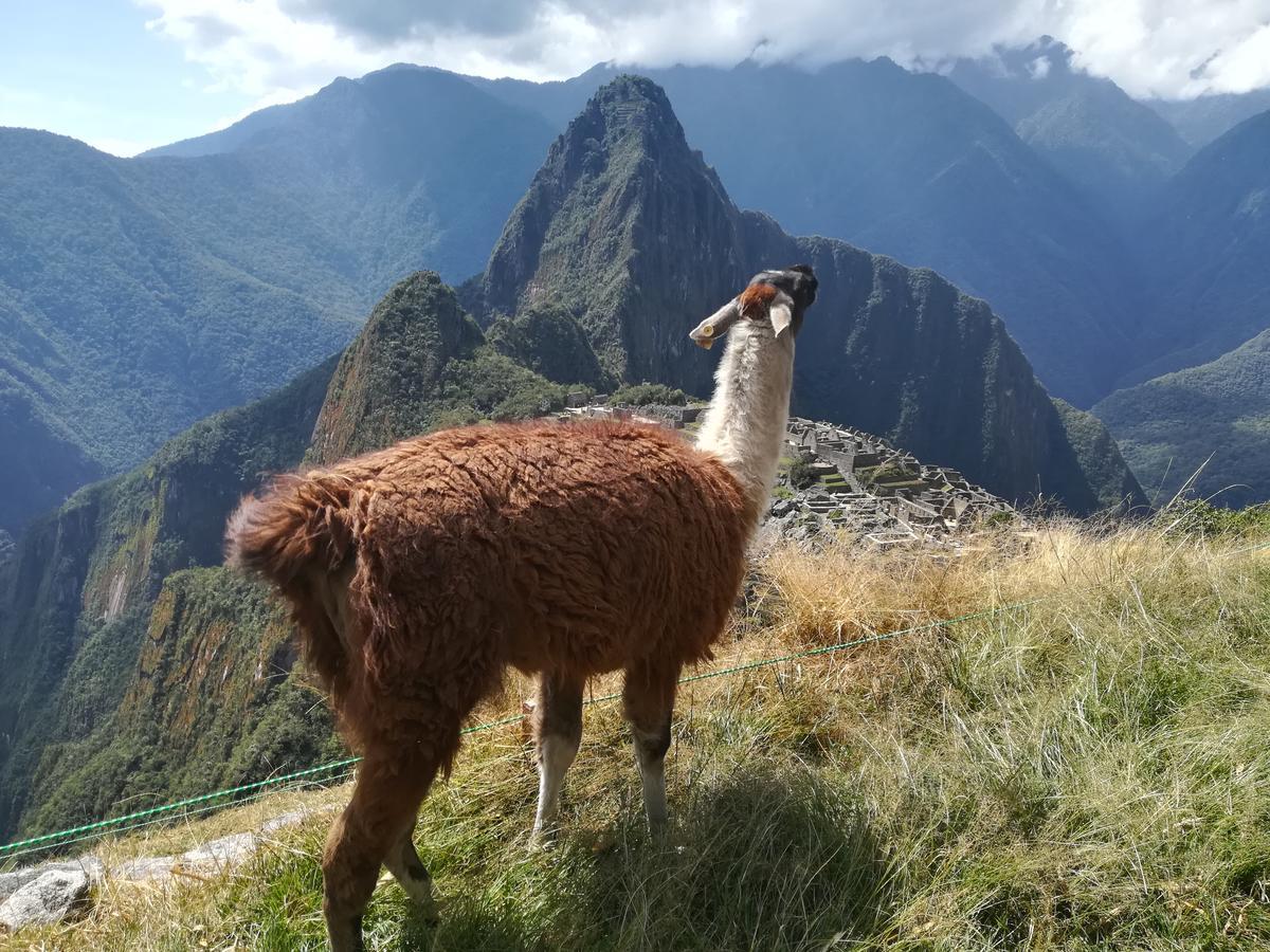 Hotel Golden Sunrise Machupicchu Esterno foto